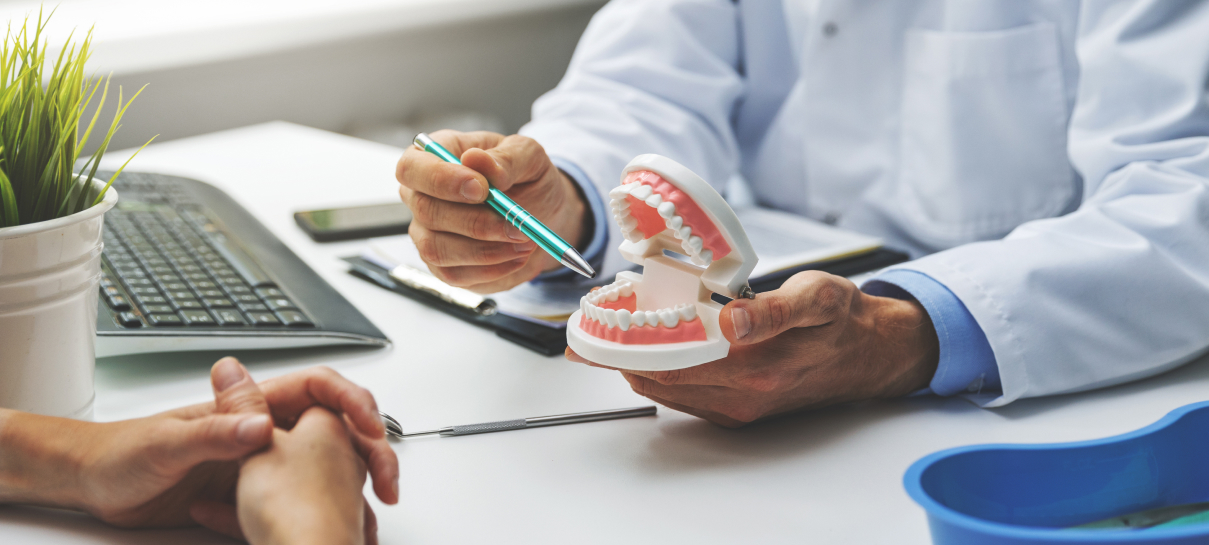 two people sitting at a table with a model of a tooth